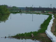 2006